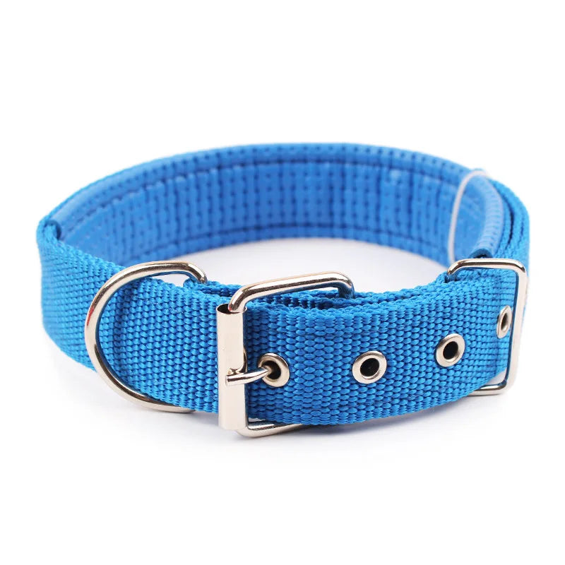 Collier Nylon pour Chien