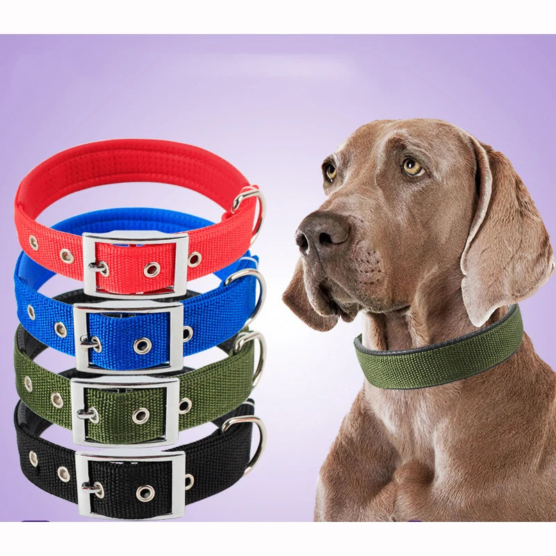Collier Nylon pour Chien