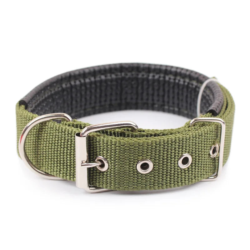 Collier Nylon pour Chien