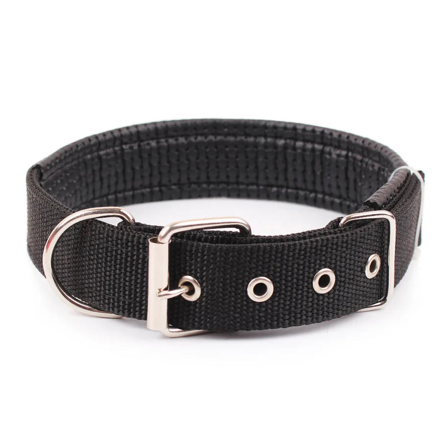 Collier Nylon pour Chien