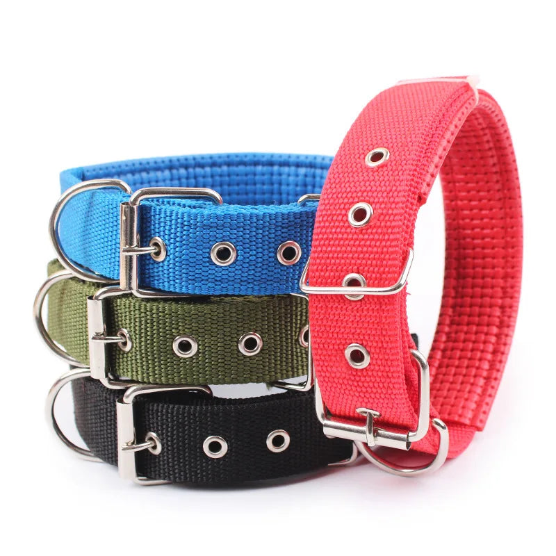 Collier Nylon pour Chien