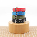 Collier Nylon pour Chien