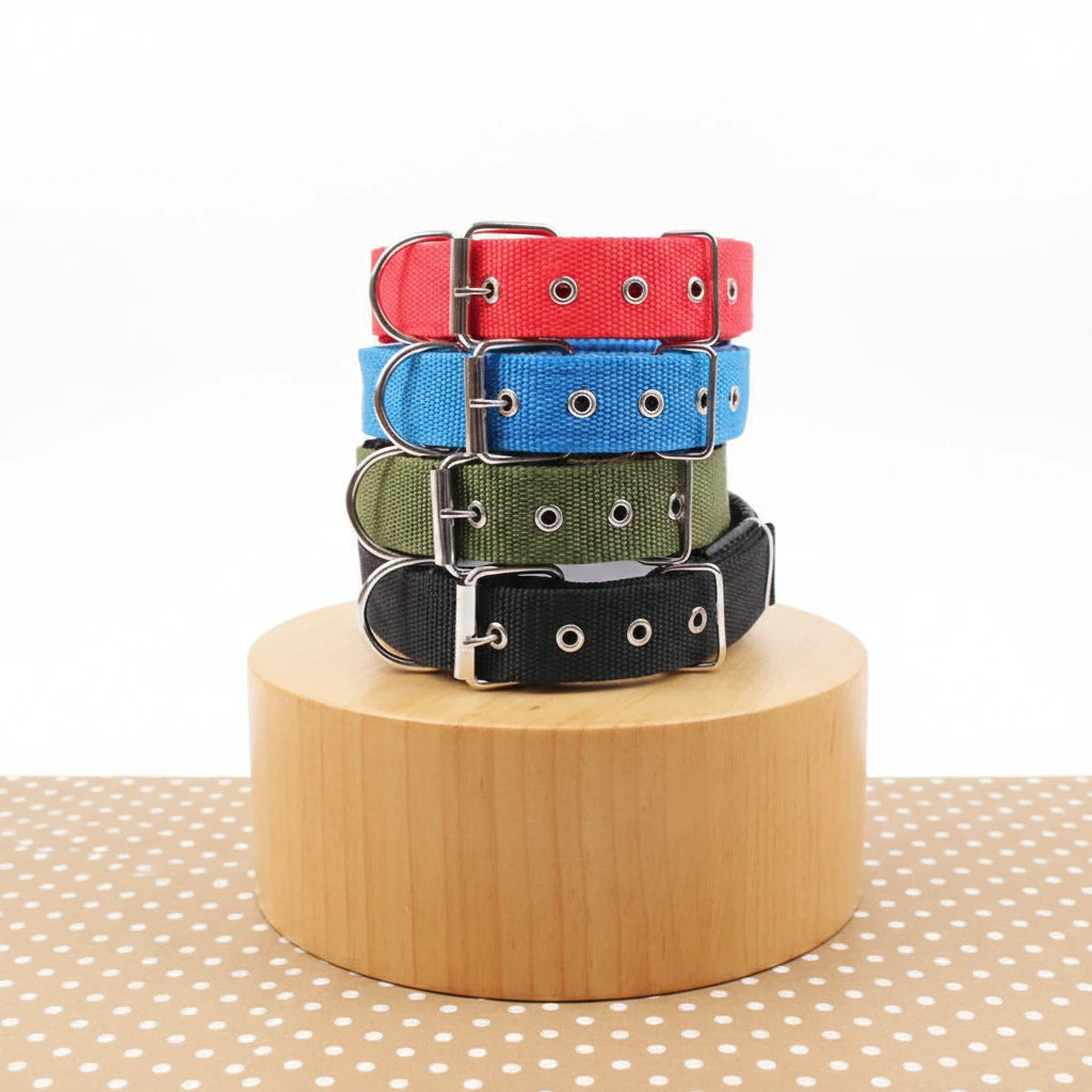 Collier Nylon pour Chien