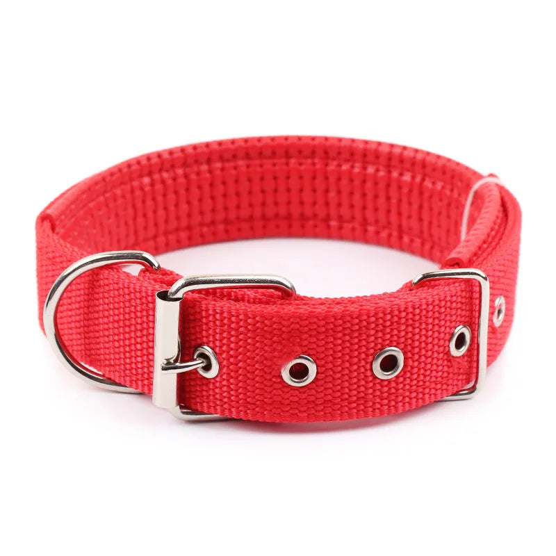 Collier Nylon pour Chien