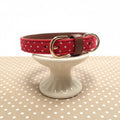 Collier Tissu Pois Rouge pour Chien