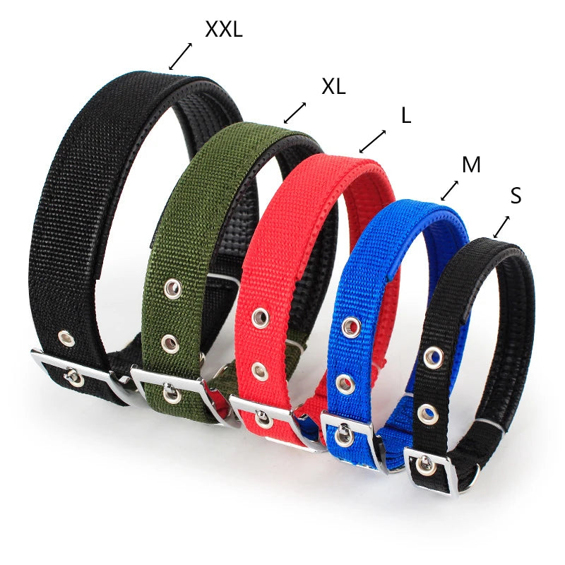 Collier Nylon pour Chien