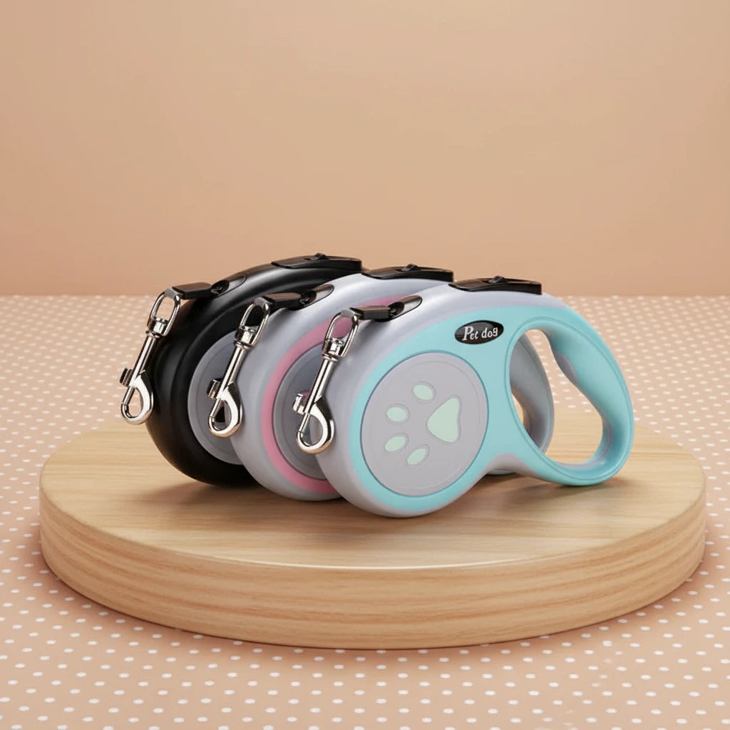 Laisse Nylon pour Chien