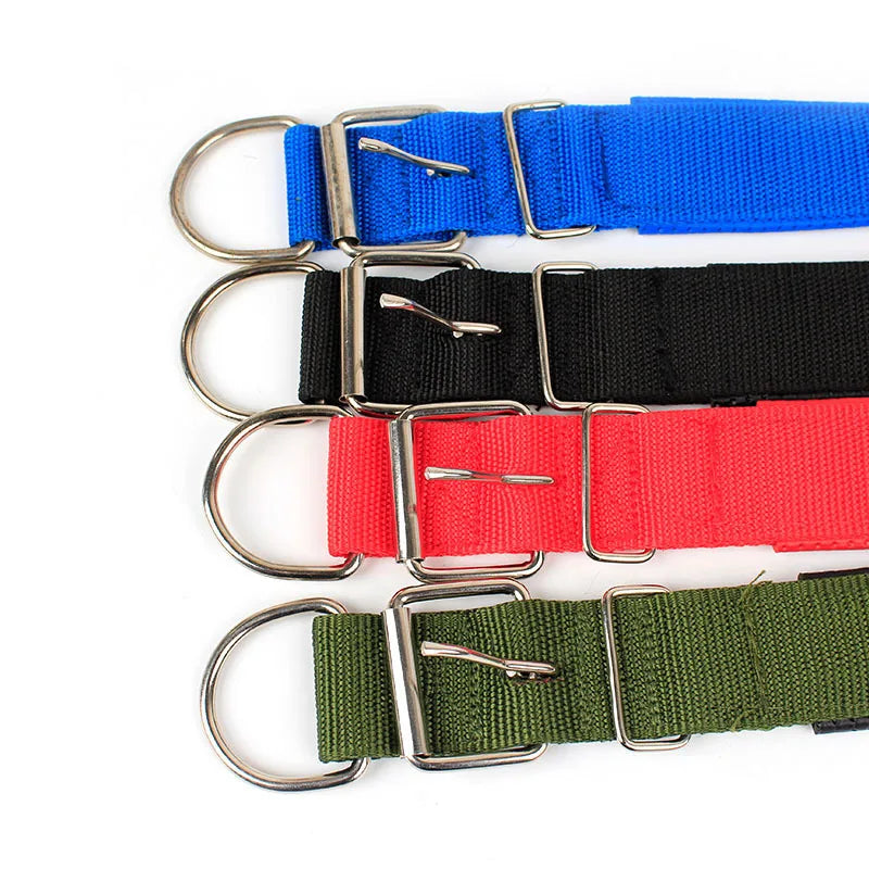 Collier Nylon pour Chien