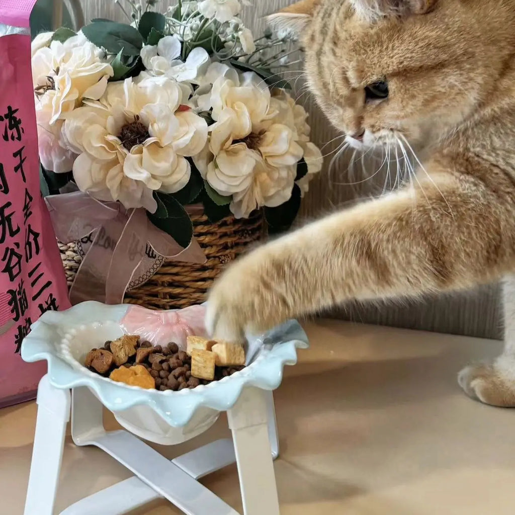 Bol Céramique Love pour Chat et Chiot