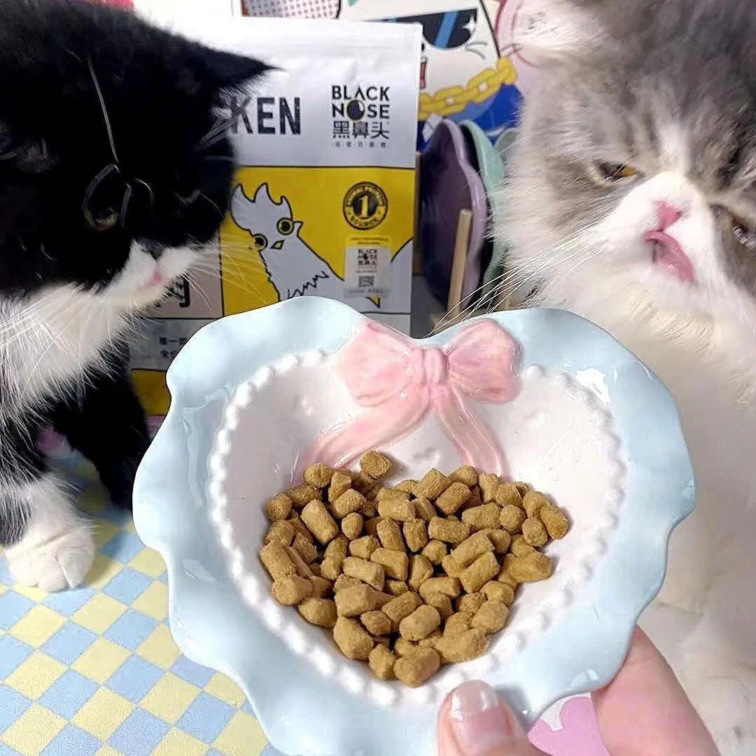 Bol Céramique Love pour Chat et Chiot