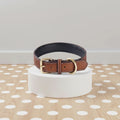 Collier Cuir Rembourré pour Chien