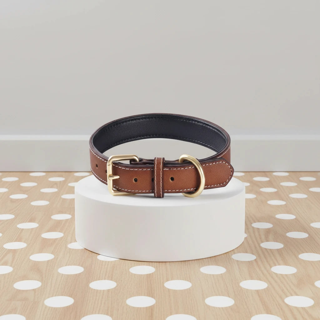 Collier Cuir Rembourré pour Chien