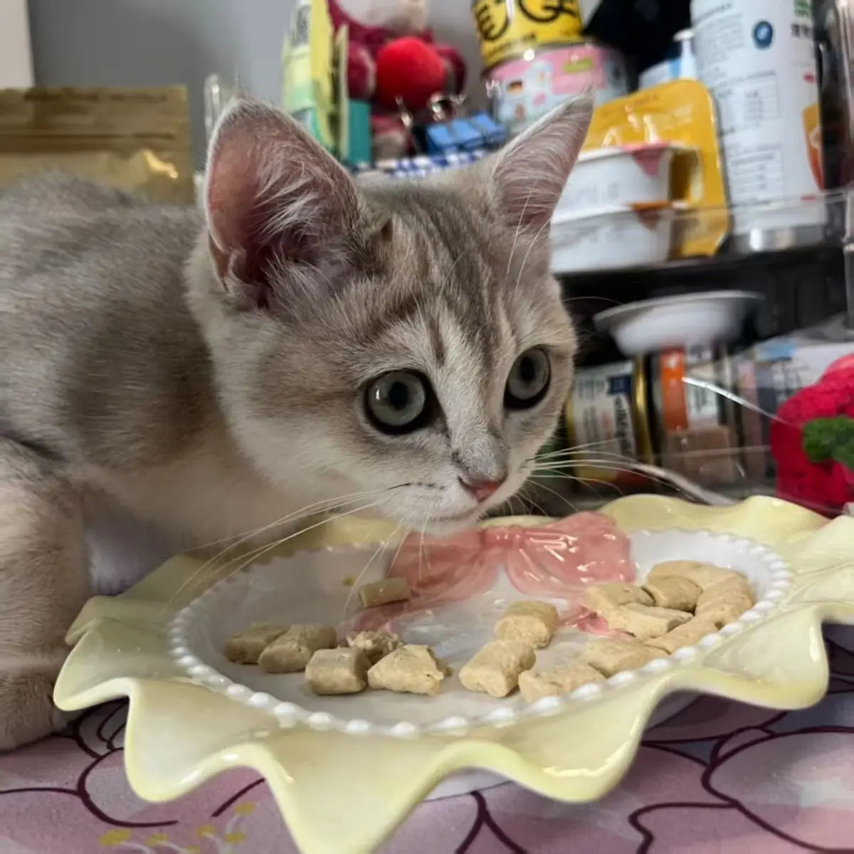 Bol Céramique Love pour Chat et Chiot