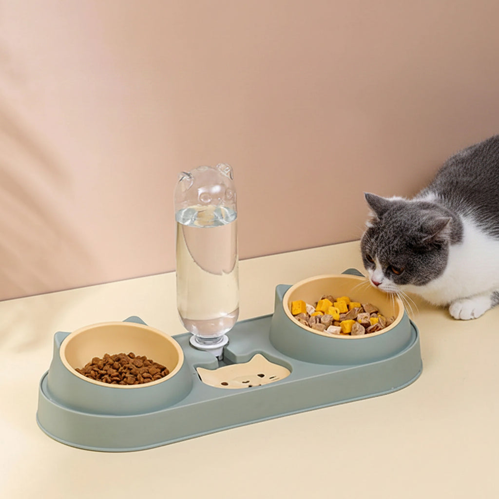 Distributeur Automatique avec Fontaine pour Chat