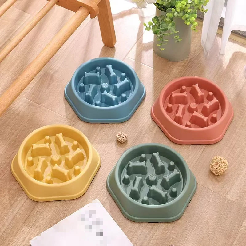 Gamelle Écologique pour Animaux